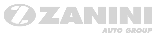 Zanini